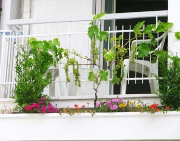 B&B Residence Sorriso Cattolica Exteriör bild